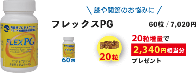 フレックスPG