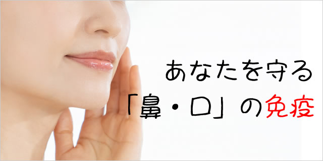 バナー