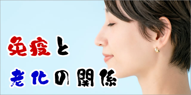 コラム