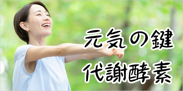 コラム