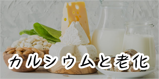 コラム